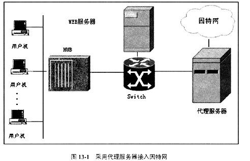 从图13-1可以看出,代理服务器将网络分成哪两部分?
